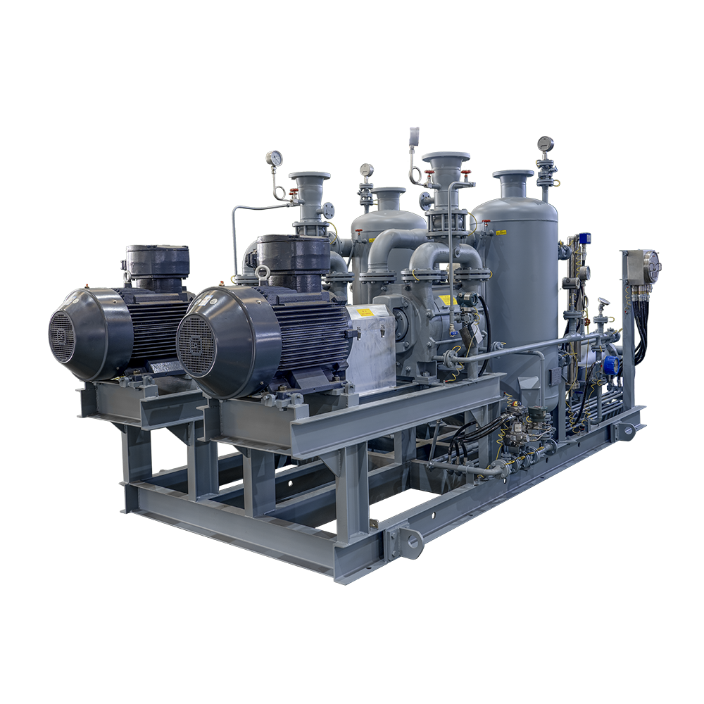 巴基斯坦安格魯集團(tuán)